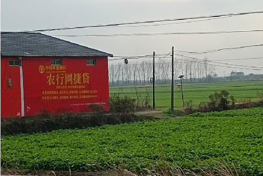 凤阳如何防止墙体广告褪色呢？