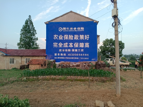 凤阳墙体广告为何受追捧？