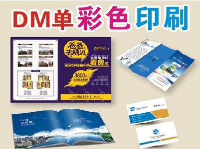 凤阳单页印刷，色彩搭配简单。